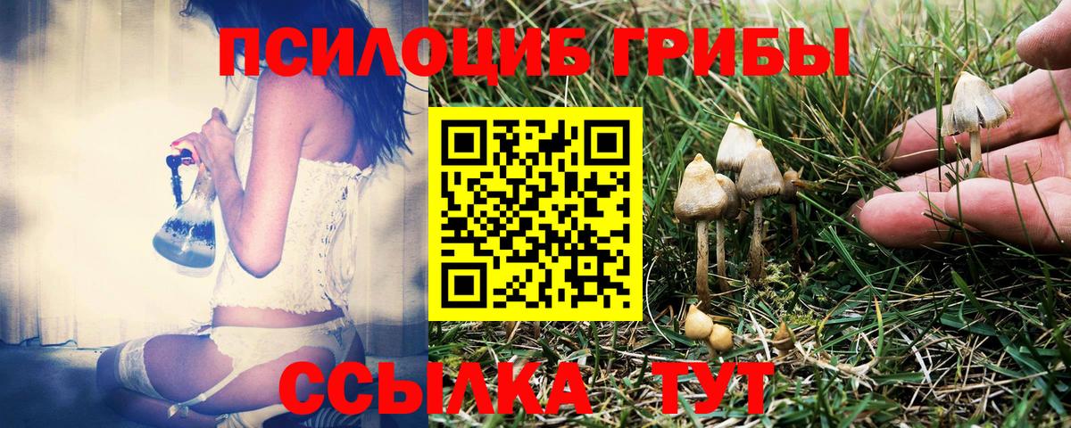 Псилоцибиновые грибы GOLDEN TEACHER Богданович